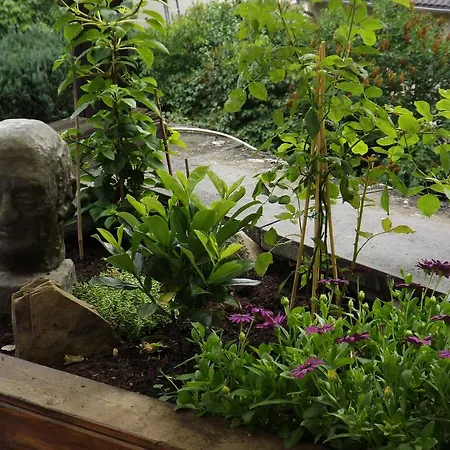 Pensjonat Zum Achten Himmel 3*