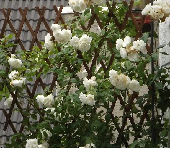 Zum Achten Himmel Pensionat